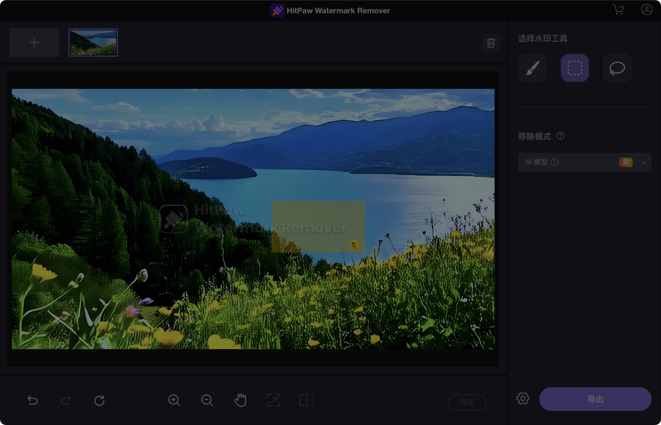 HitPaw Watermark Remover